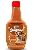 Molho Para Ração Doogs Tasty com Colágeno para Cães 250g