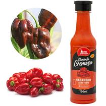 Molho Pimenta Cremosa Gourmet Mexicana Habaneros Red Picância Forte Bahia Premium 150ml Churrasco Molho Pimenta Cremosa Gourmet Mexicana Habaneros Red Picância Forte Bahia Premium 150ml Churrasco