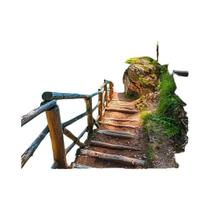 Momoart gato pintura diamante animal colorido diamante mosaico imagem strass lua decoração da parede