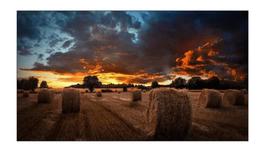 Monitor Profissional Samsung 55" Vídeowall LH55VMBUBGBXZD Monitor Profissional Samsung 55" Vídeowall LH55VMBUBGBXZD