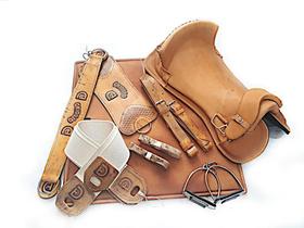 Montaria Completa Sela Freio de Ouro 10 peças