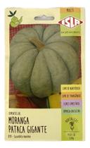 Moranga Pataca Gigante - 3gr de Sementes
