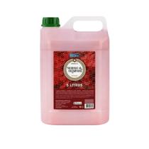 Morango Champanhe Sabonete Líquido 5 litros - Deoline Morango Champanhe Sabonete Líquido 5 litros - Deoline