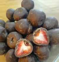 Morango do amor liofilizado com chocolate ao leite zero açucar 50g