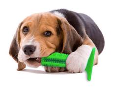 Mordedor Brinquedo Escova Dental Para Cachorro Pet Pequeno