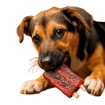 Mordedor para Cachorro Ripas de Costela Sabor Bacon Brinquedo Resistente para Mastigação Bom Amigo W9125 Mordedor para Cachorro Ripas de Costela Sabor Bacon Brinquedo Resistente para Mastigação Bom Amigo W9125
