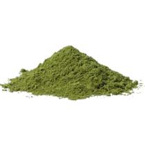 Moringa em Pó 1Kg