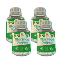 Moringa Oleífera- 60 caps 500mg kit com - 4 potes