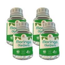 Moringa Oleífera- 60 Caps 500Mg Kit Com - 4 Potes