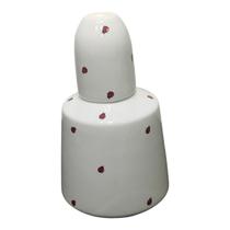 Moringa refresqueira pote água Bebedouro