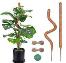 Moss Pole imezos de 30 cm para plantas Monstera, pacote com 2