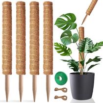 Moss Pole PlantPolex, pacote com 4, 53 cm de altura para plantas de interior Moss Pole PlantPolex, pacote com 4, 53 cm de altura para plantas de interior
