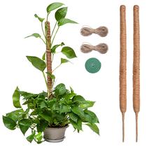 Moss Pole Simezos de 30 cm para plantas Monstera com coco Coir, pacote com 2
