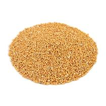 Mostarda amarela em grãos