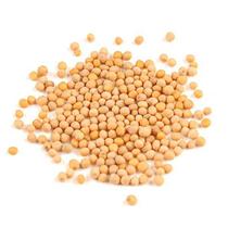 Mostarda em Grãos (Granel 250g)