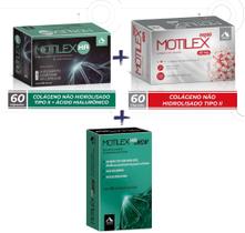 Motilex Ha C/60 + Motilex Caps C/60 + Motilex MSM C/30