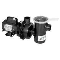 Moto Bomba Piscina Ate 28 Mil Litros Nbfc-0 1/4cv 127V Wmp