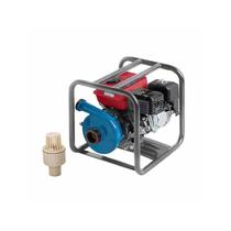 Motobomba 2" gas.4t centrif.branc.