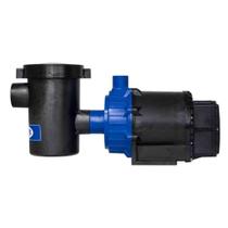 Motobomba 3/4 Cv Pré Filtro - Syllent 220V