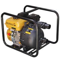 Motobomba a gasolina 6,5 hp PU para produtos químicos recalque de 2" - BFG Motobomba a gasolina 6,5 hp PU para produtos químicos recalque de 2" - BFG