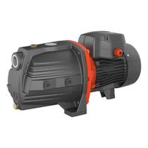 MotoBomba Autoaspirante Ajm150 Lepono 2cv Monofásica Bivolt Preto 127V 220V