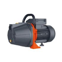 Motobomba Autoaspirante Xkj900i Lepono Bivolt Monofásica Preto Monofásica 60 127v 220V