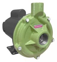 Motobomba BC-92 S 1C Motor Monofásico Com Capacitor 3/4cv