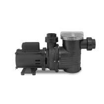 Motobomba BPF-025CB 1/4 Cv WEG - 127/220/254V - Sibrape Motobomba BPF-025CB 1/4 Cv WEG - 127/220/254V - Sibrape