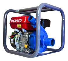 Motobomba Branco Centrifuga Gasolina 6,5cv Alta Vazão Irrigação Gotejo Motobomba Branco Centrifuga Gasolina 6,5cv Alta Vazão Irrigação Gotejo