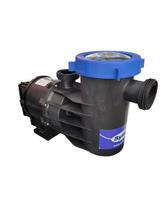 Motobomba Centrífuga Autoescorvante Syllent 1/2 CV 220V Com Pré Filtro Motobomba Centrífuga Autoescorvante Syllent 1/2 CV 220V Com Pré Filtro