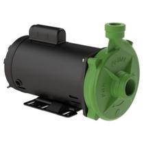Motobomba Centrífuga Fgn-2 1,5cv 3500rpm Monofásico Famac Motobomba Centrífuga Fgn-2 1,5cv 3500rpm Monofásico Famac