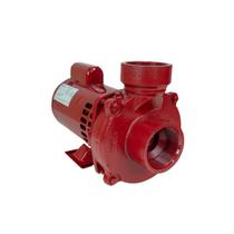 Motobomba Centrífuga Incêndio 3,0Cv 110/220V 4160.3 Eletr