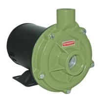 Motobomba Centrífuga Monoestágio Monofásica 0,75 CV 127/220V Schneider