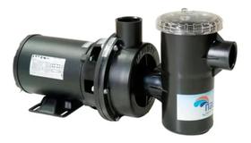 Motobomba centrifuga para piscina - nautilus nbfc-2 1/2 cv - 220v - para até 50 m³