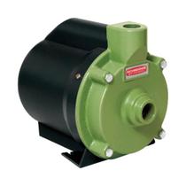 Motobomba Centrífuga Schneider 1/4CV BCR-2000 220 Volts