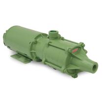 Motobomba Centrífuga Schneider ME-IN 1530N 3CV 127/220V