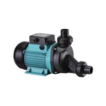 Motobomba Hidromassagem Monof 1HP LSPA1100 Lepono 220V Motobomba Hidromassagem Monof 1HP LSPA1100 Lepono 220V