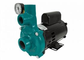 Motobomba Injetora 1/3cv 60Hz 110/220V I-110 ECI-33M Eletroplas