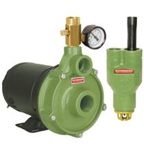 Motobomba Injetora, 1 CV, 1.1/4, Monofásica, Bivolt - MBI-1 LI-25 - Schneider Motobomba Injetora, 1 CV, 1.1/4, Monofásica, Bivolt - MBI-1 LI-25 - Schneider