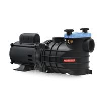 Motobomba Para Piscina 1cv Monofásica 127/220V Série EKO Schneider