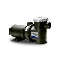 Motobomba Para Piscinas Sibrape Pentair 3/4CV