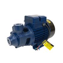 Motobomba Periférica 1,0Cv ICS-100AB Eletroplas - Bivolt