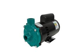 Motobomba Standard 1.5cv 60Hz 110/220V ECS-150ME Eletroplas