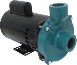 Motobomba Standard 1cv 60Hz 127/220V ECS-SA100M Eletroplas