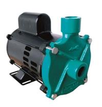 Motobomba Standard Hobby 1/3cv 60Hz 220V MCS-33M Eletroplas