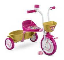 Motoca Infantil Triciclo das Princesas da Disney Nathor