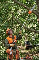 Motopodador De Galhos Vp3300l Com Extensor 2t Motopodador De Galhos Vp3300l Com Extensor 2t