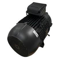 Motor 10CV 60Hz Compatível com Lavadora Karcher HD10/27-4 Cage Plus (220V) 9.398-578.0