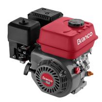 Motor a Gasolina 13Cv Partida Elétrica B4T-13.0H Branco 90315800