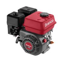 Motor a Gasolina B4t 7,0cv Horizontal Partida Elétrica Com Alerta de Óleo Branco